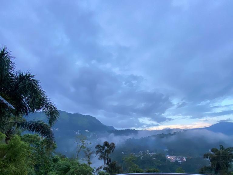 Munnar Blue Mist Bed & Breakfast Exterior photo