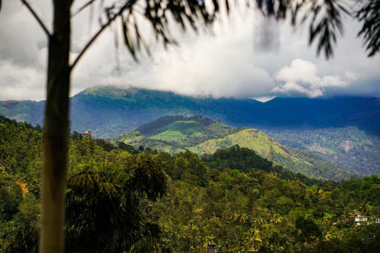 Munnar Blue Mist Bed & Breakfast Exterior photo